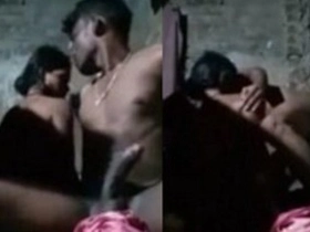 Desi duo gets caught having sex in a